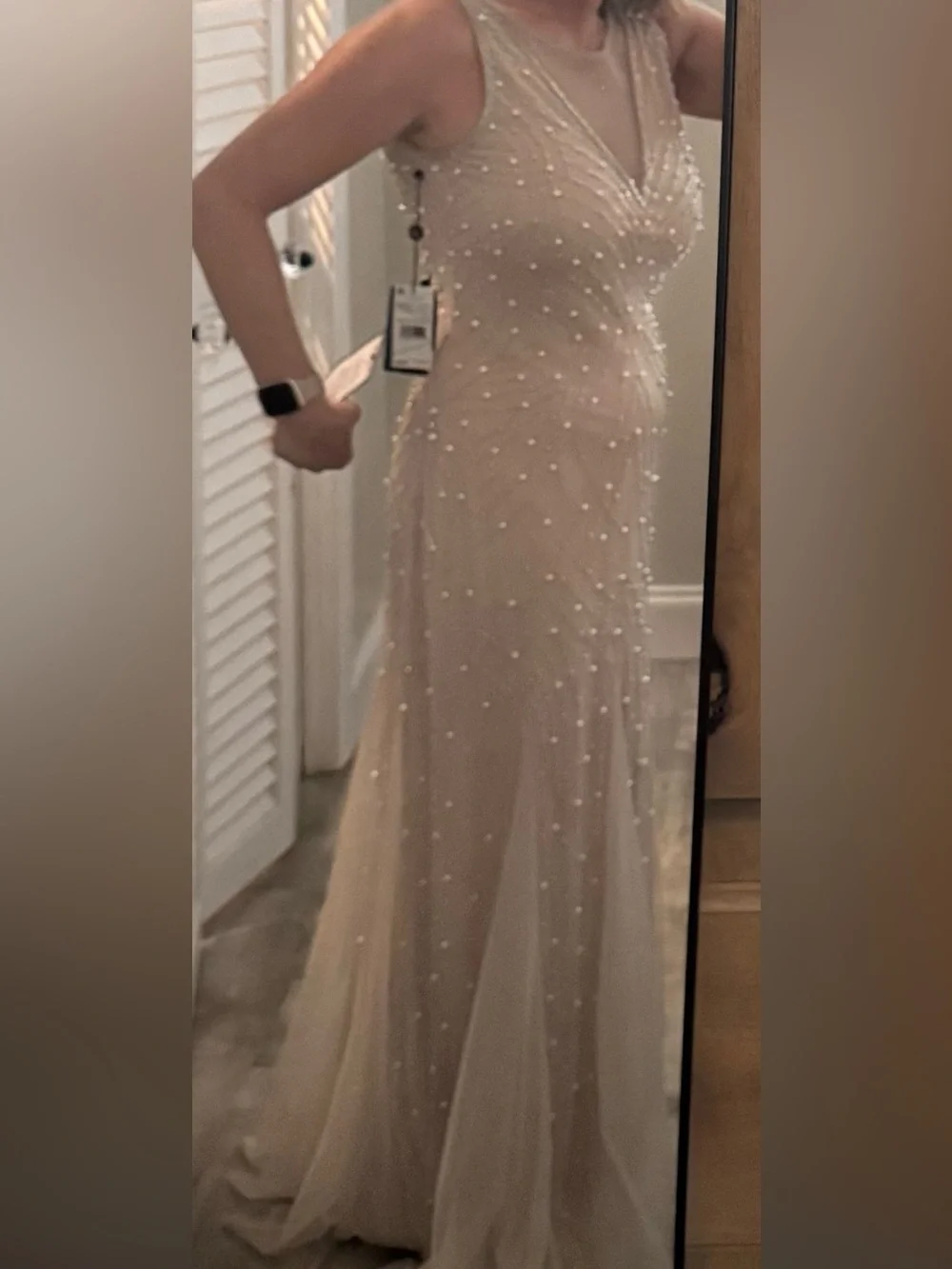 Adrianna Papell Taupe Beaded Gown - Picture 4 of 9